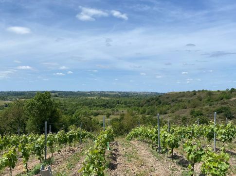 Un séminaire au coeur du vignoble angevin pour remercier vos collaborateurs